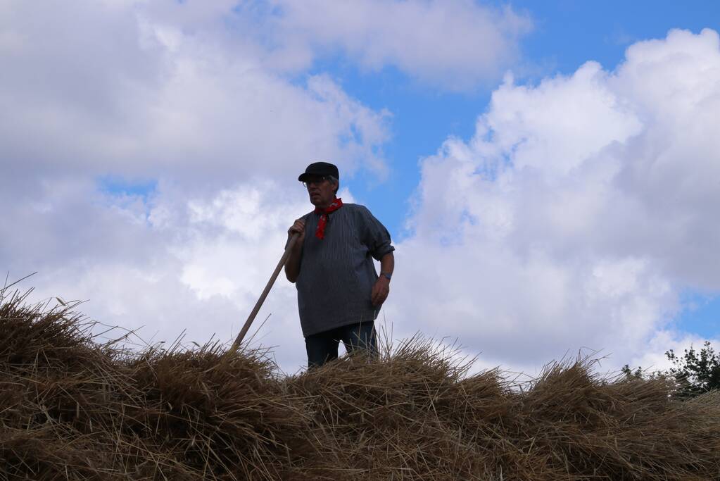 24e editie Oogstdag druk bezocht