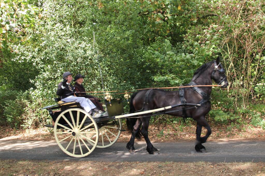 Kastelenrit in Vorden verreden onder uitstekende weersomstandigheden