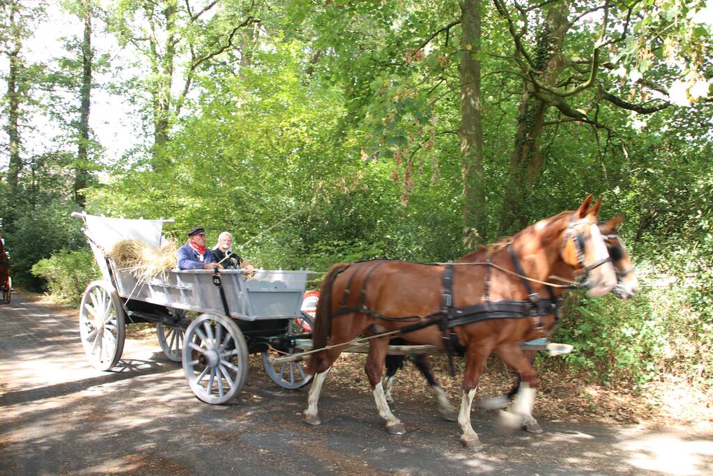 Kastelenrit in Vorden verreden onder uitstekende weersomstandigheden