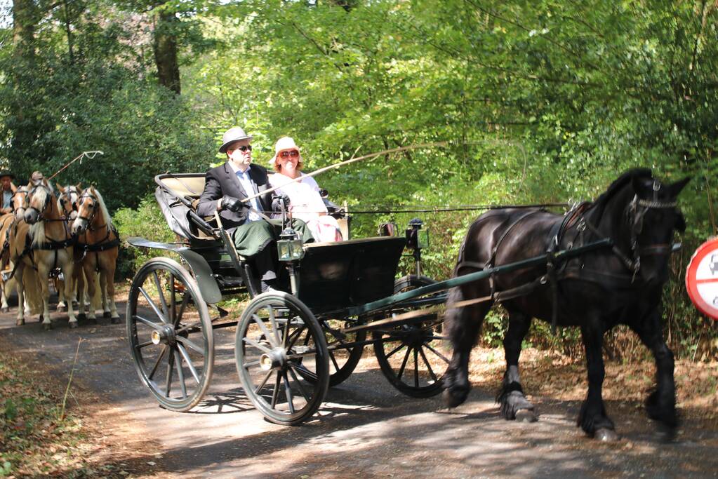 Kastelenrit in Vorden verreden onder uitstekende weersomstandigheden