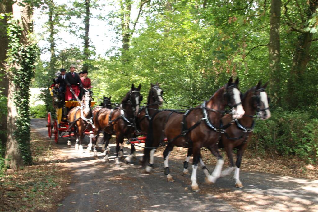 Kastelenrit in Vorden verreden onder uitstekende weersomstandigheden