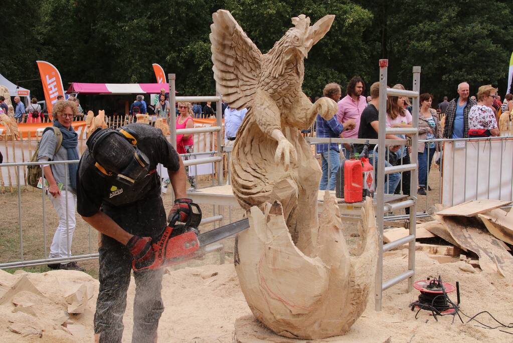 NK Carving tijdens Houthakkersfeest