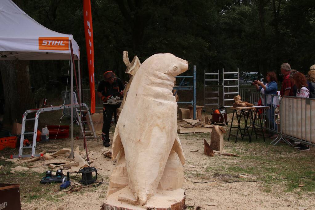 NK Carving tijdens Houthakkersfeest