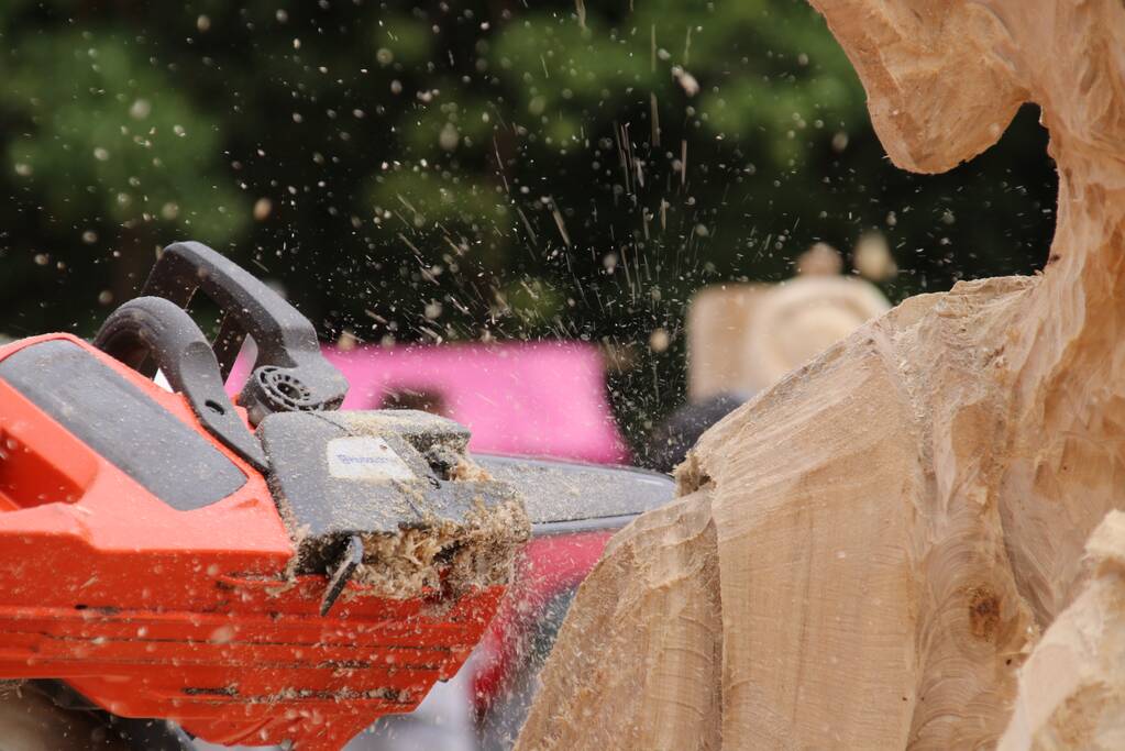 NK Carving tijdens Houthakkersfeest