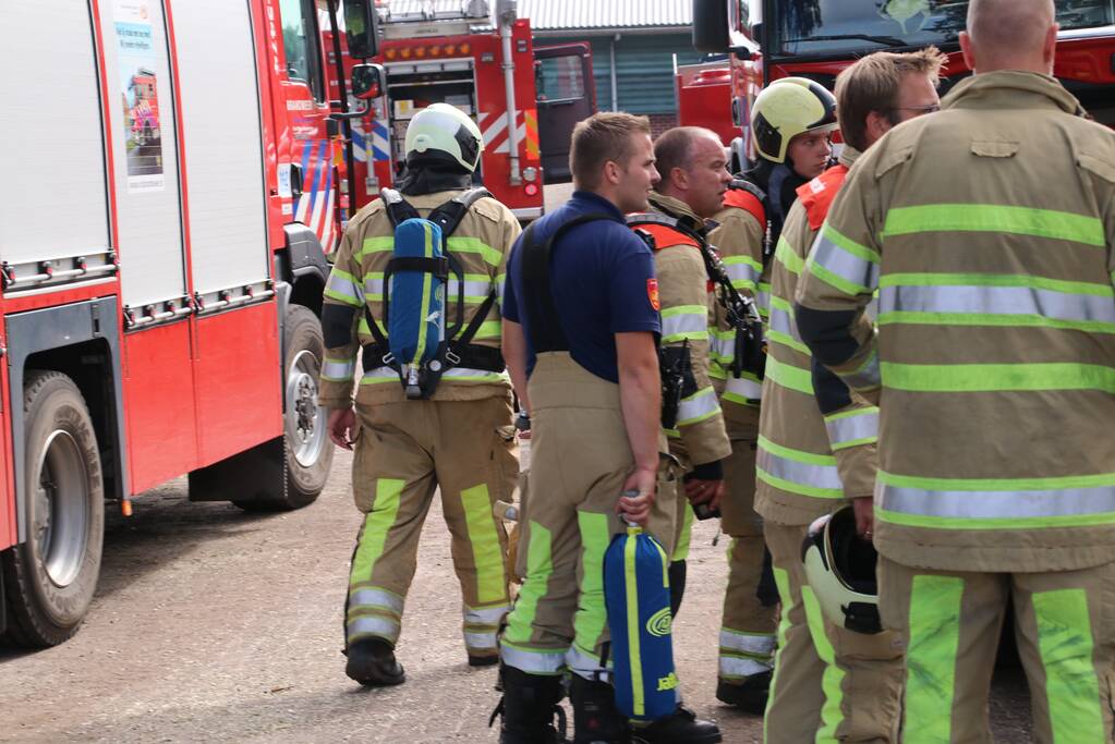 Dieren in stal onwel door dampen geoogst mais