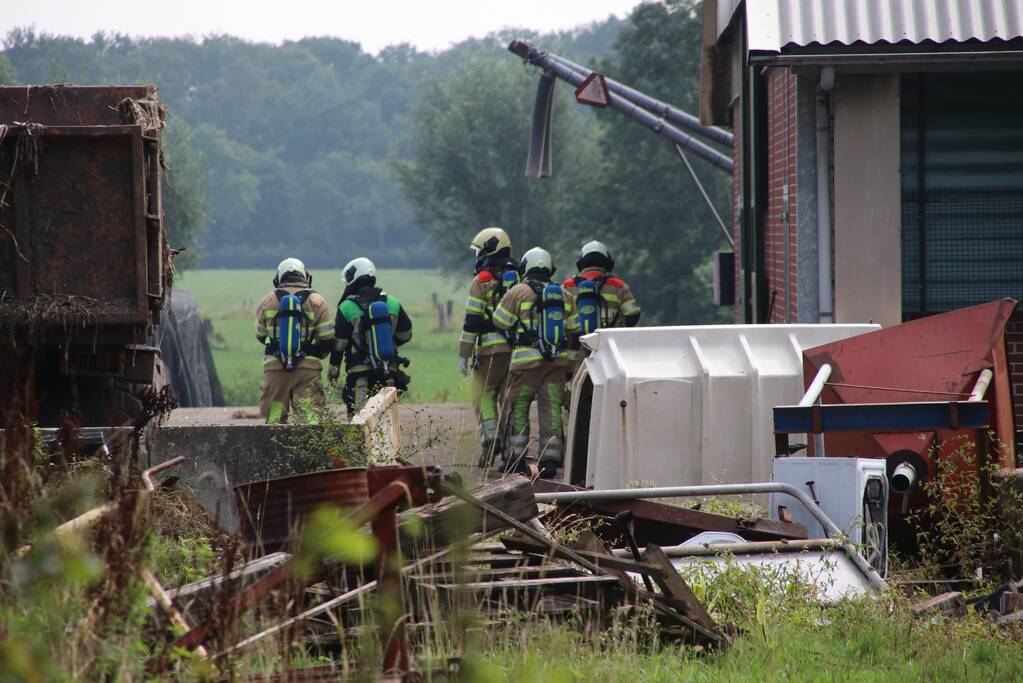 Dieren in stal onwel door dampen geoogst mais