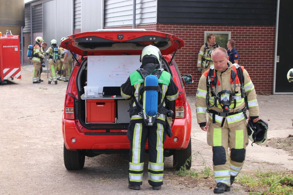 Dieren in stal onwel door dampen geoogst mais