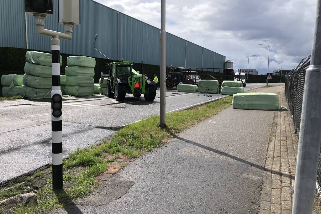 Trekker geschaard over de weg