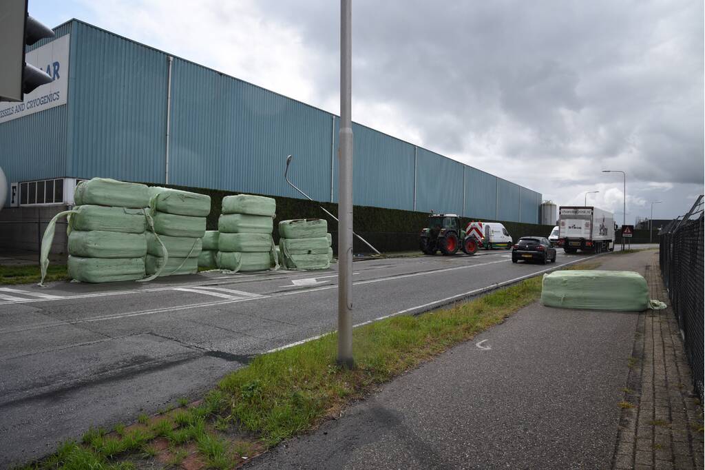Trekker geschaard over de weg