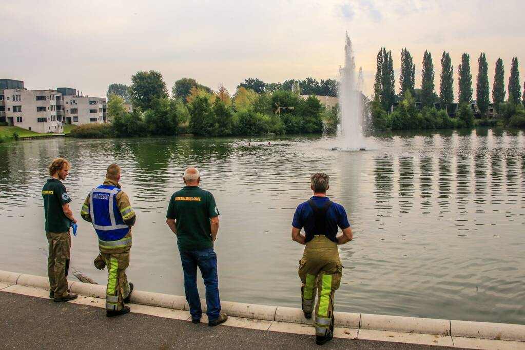 Verlamde meeuw uit water gered