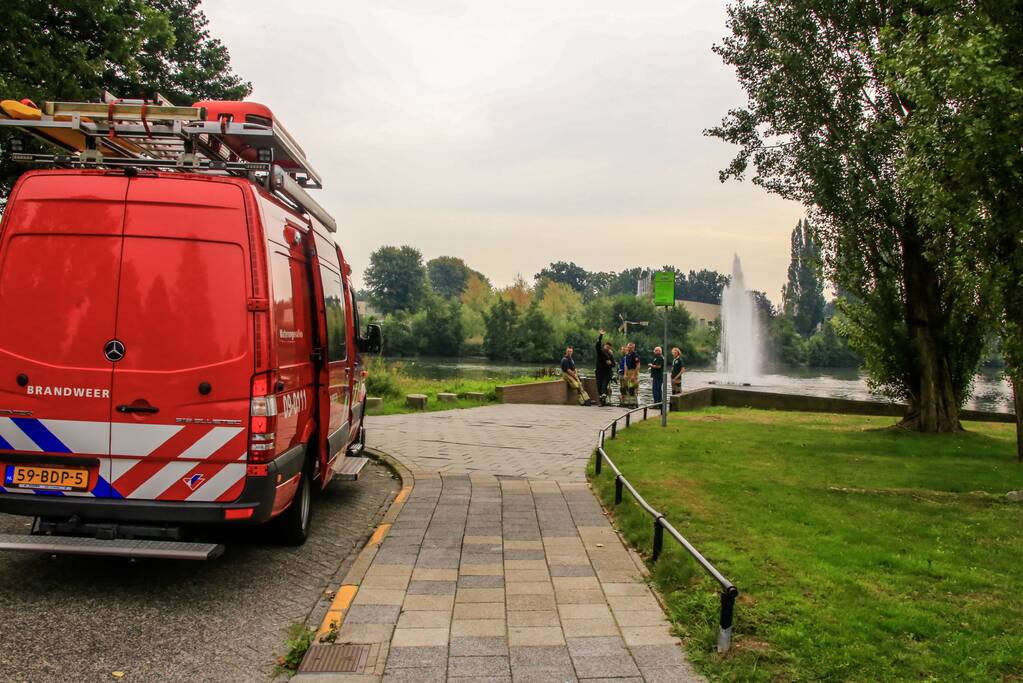 Verlamde meeuw uit water gered