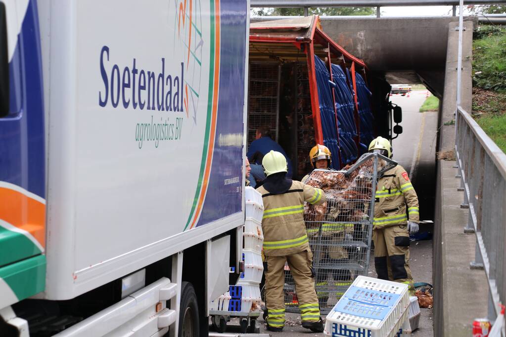 Vrachtwagen vol kippen vastgereden onder viaduct A30