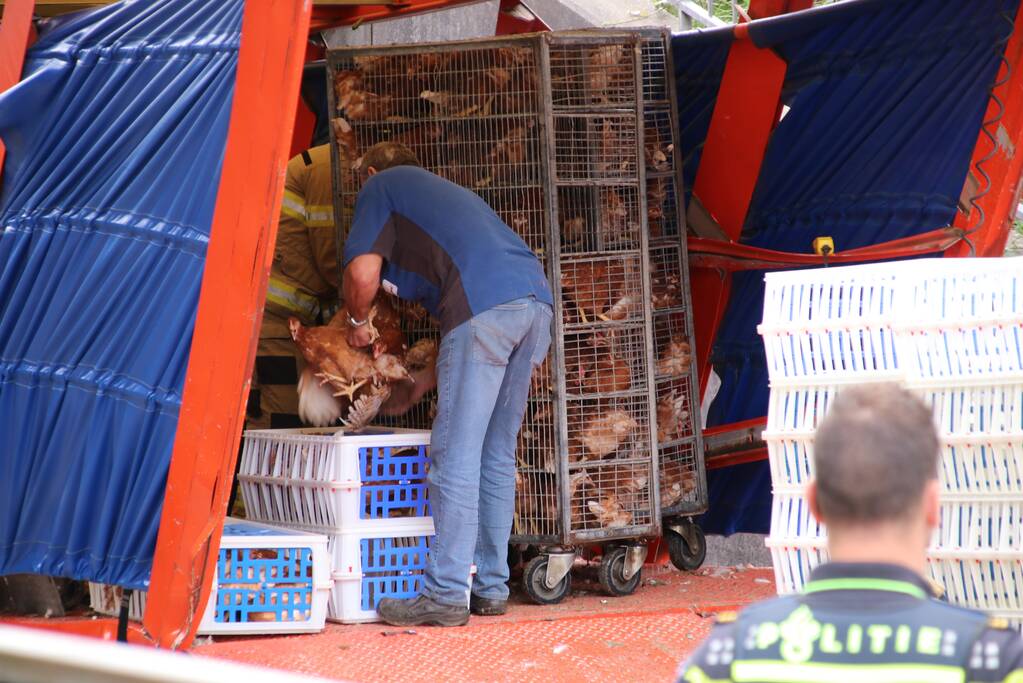 Vrachtwagen vol kippen vastgereden onder viaduct A30