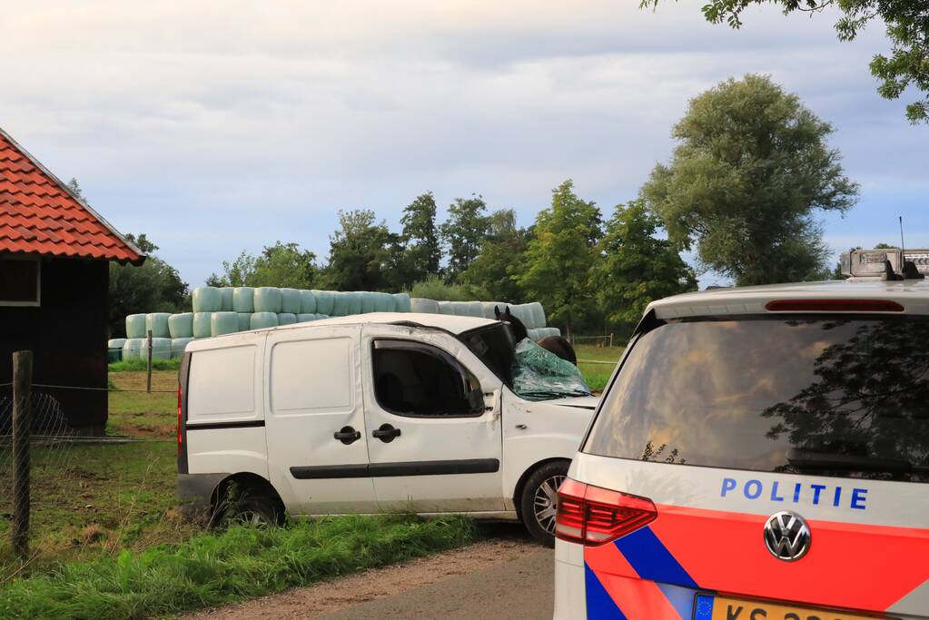 Bestuurder mist bocht en botst tegen boom