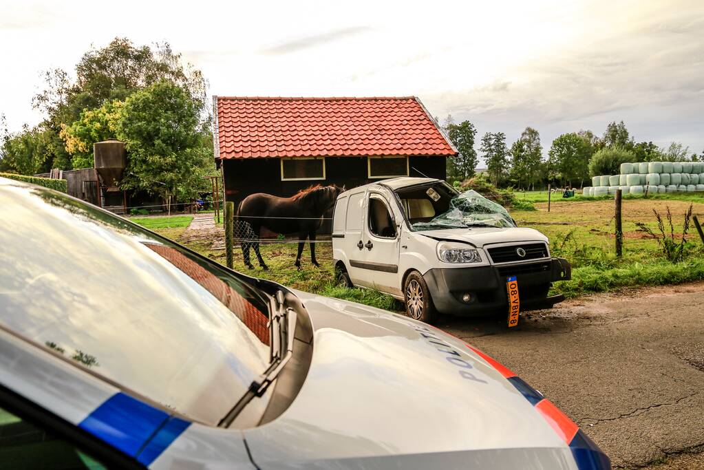 Bestuurder mist bocht en botst tegen boom