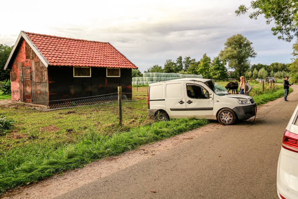 Bestuurder mist bocht en botst tegen boom