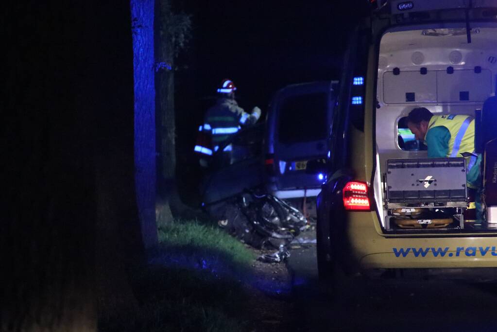 Bestuurder bestelwagen overleden na botsing tegen boom