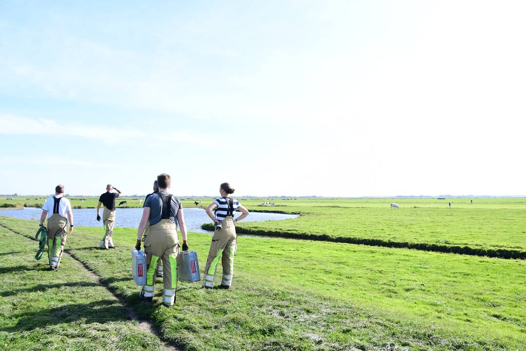 Brandweer flink in de benen voor koe in nood