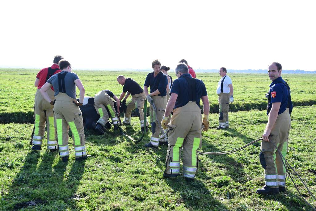Brandweer flink in de benen voor koe in nood