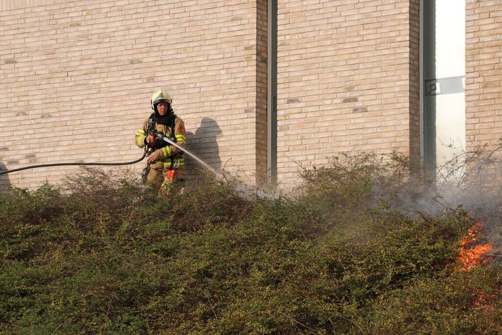 Groenstrook tegen sporthal in brand gestoken