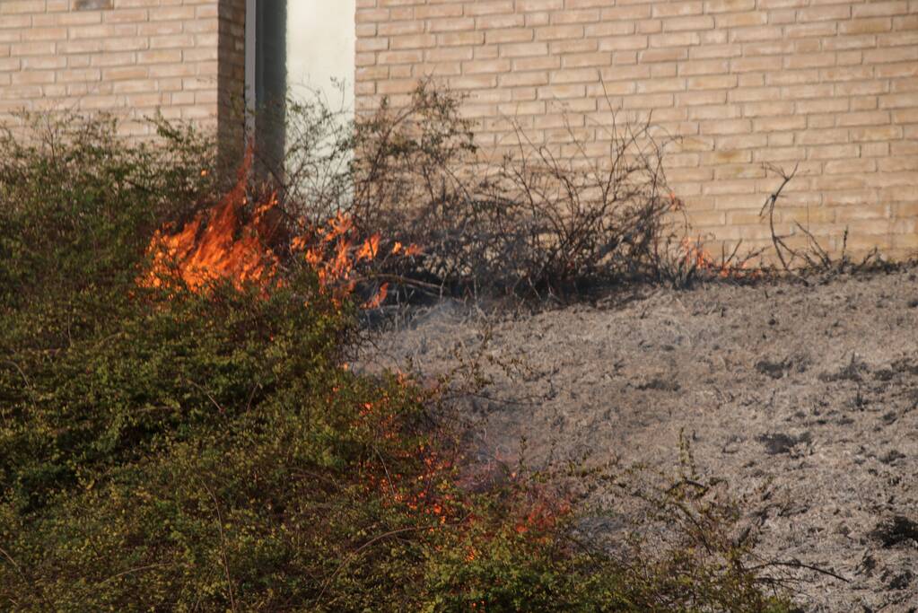 Groenstrook tegen sporthal in brand gestoken