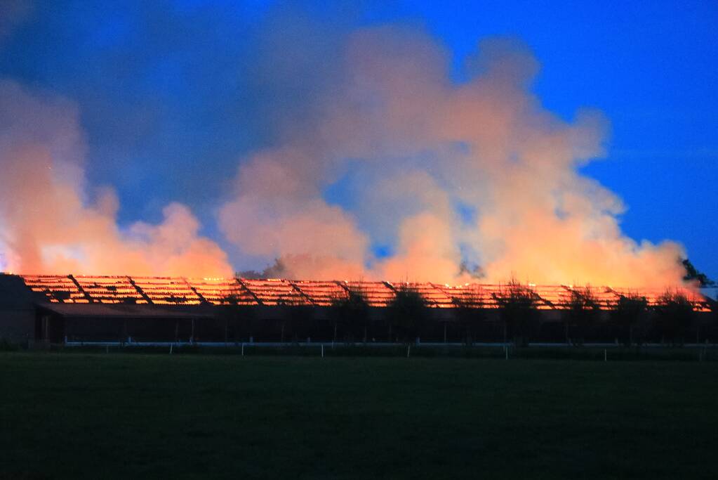 Kippenschuur verwoest door brand