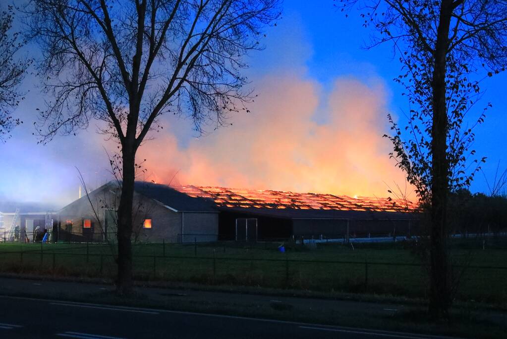 Kippenschuur verwoest door brand