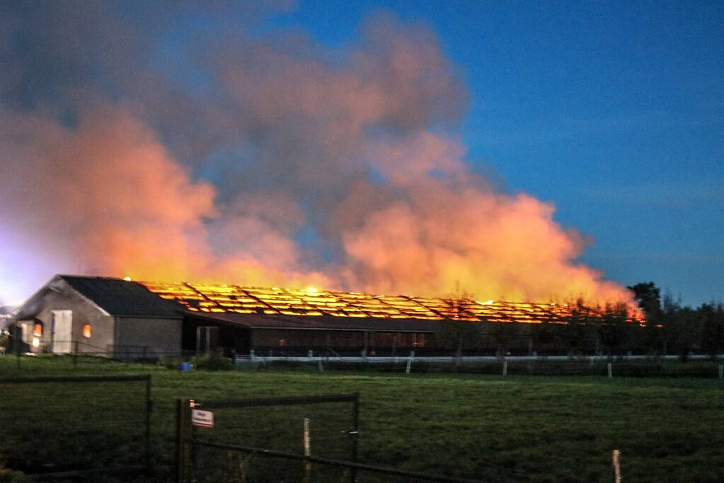 Kippenschuur verwoest door brand