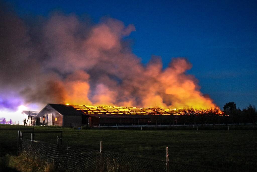 Kippenschuur verwoest door brand