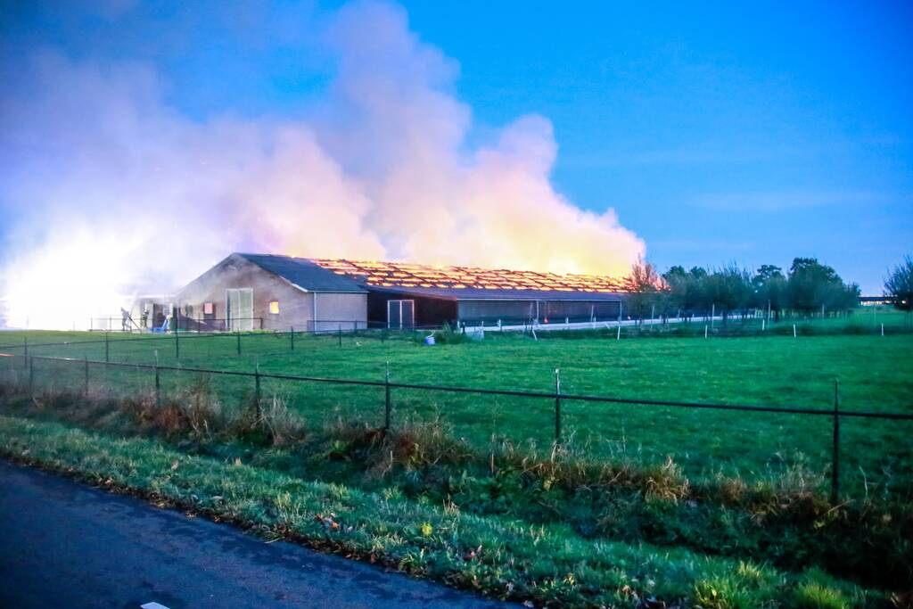 Kippenschuur verwoest door brand