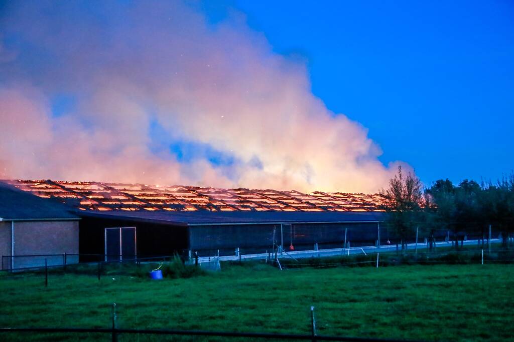 Kippenschuur verwoest door brand