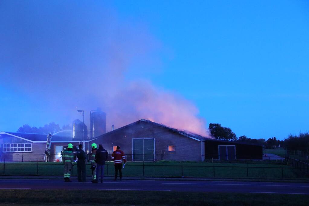 Kippenschuur verwoest door brand