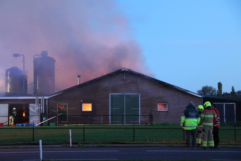 Kippenschuur verwoest door brand