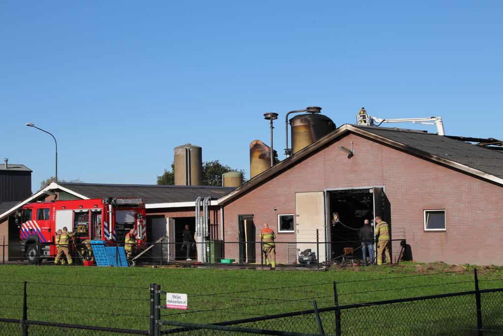 Kippenschuur verwoest door brand