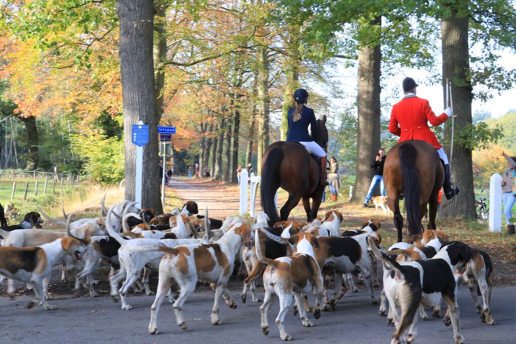 Veel publiek bij eerste slipjacht van het seizoen