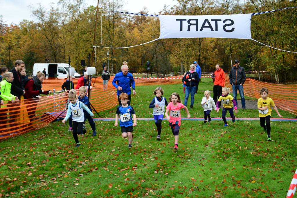 Honderden deelnemers van start bij BAV Zevenlindenloop