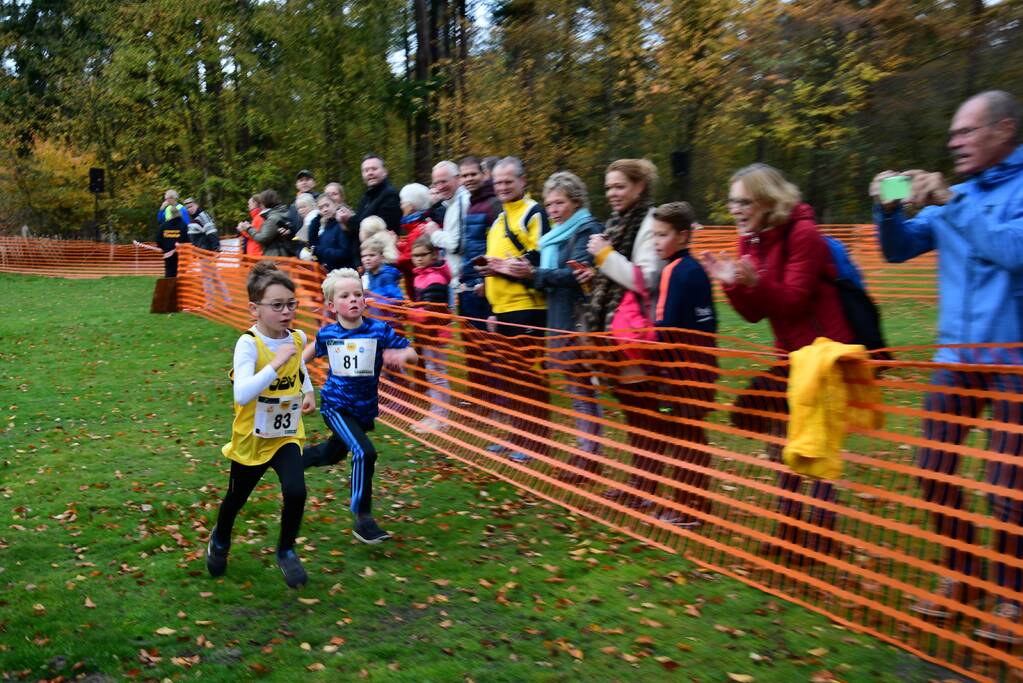 Honderden deelnemers van start bij BAV Zevenlindenloop