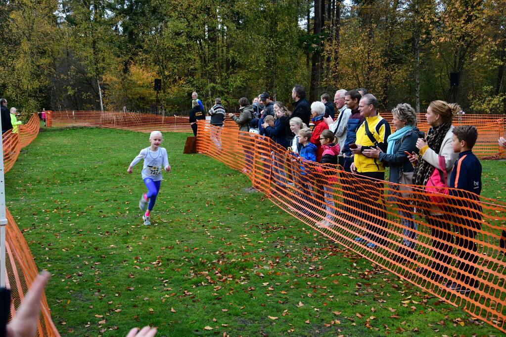 Honderden deelnemers van start bij BAV Zevenlindenloop