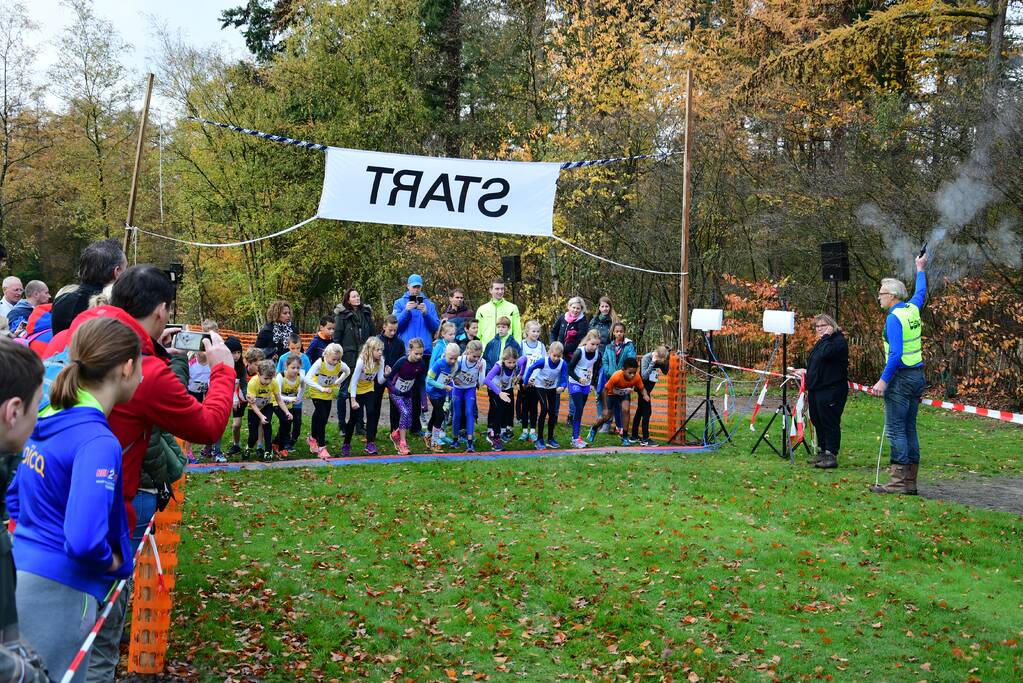 Honderden deelnemers van start bij BAV Zevenlindenloop