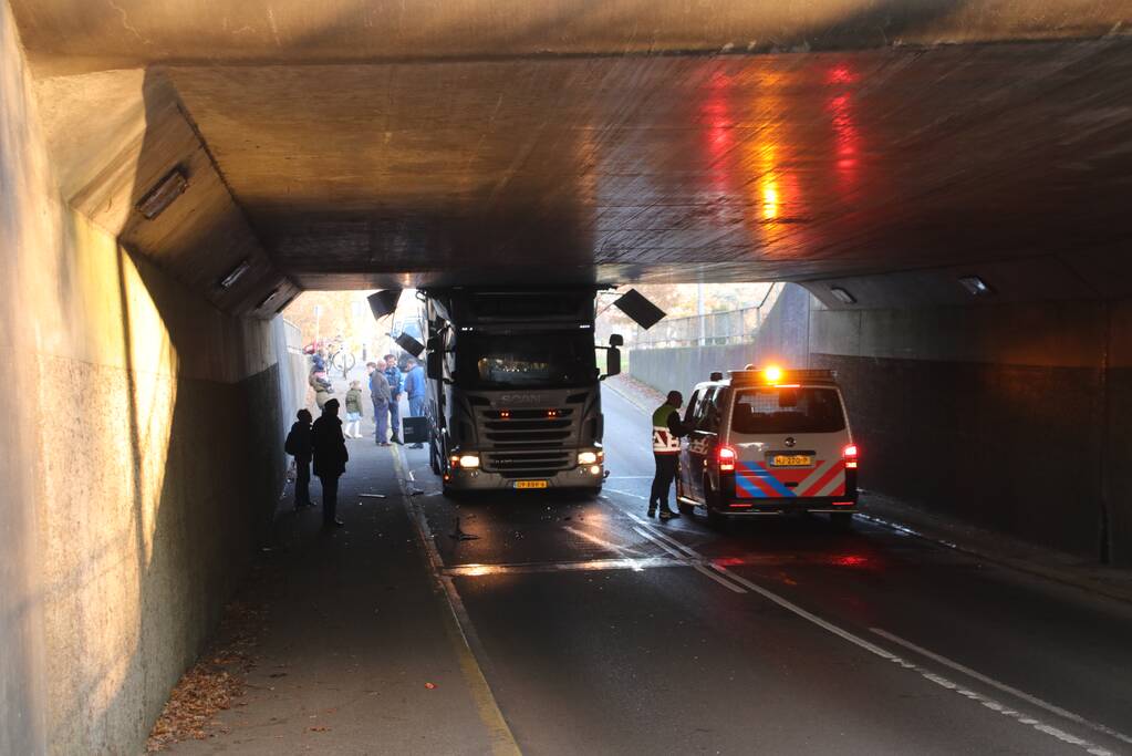 Vrachtwagen vol jonge varkens vastgereden onder viaduct