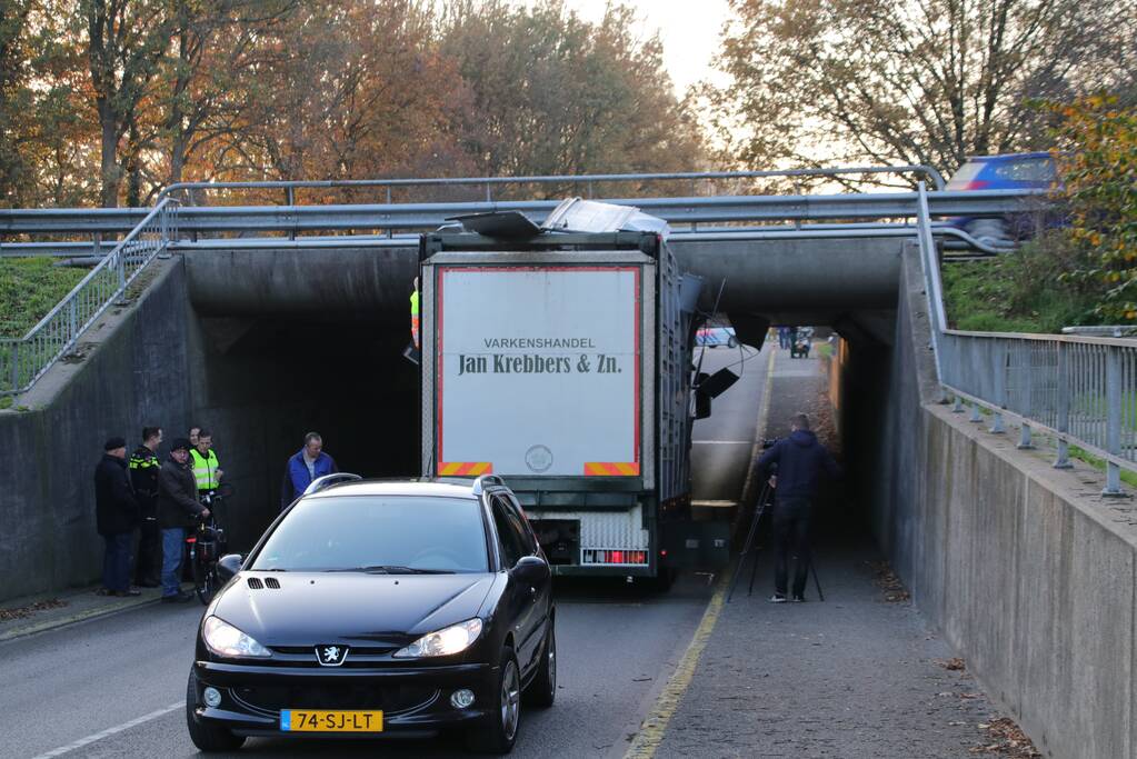 Vrachtwagen vol jonge varkens vastgereden onder viaduct