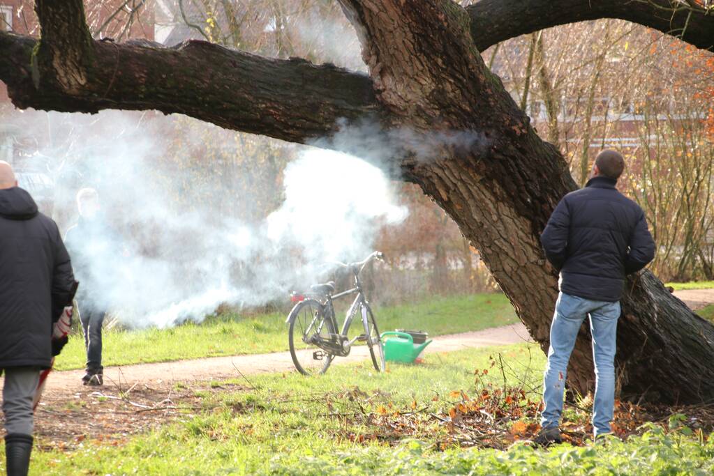 Klimboom in brand gestoken
