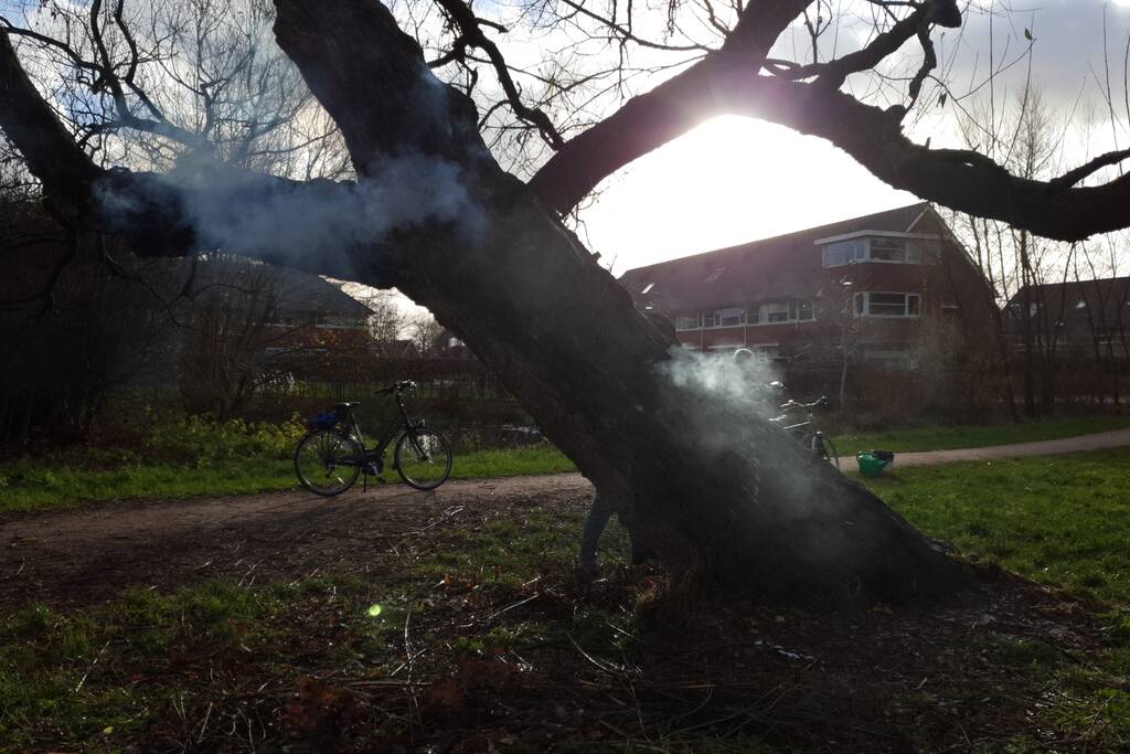 Klimboom in brand gestoken