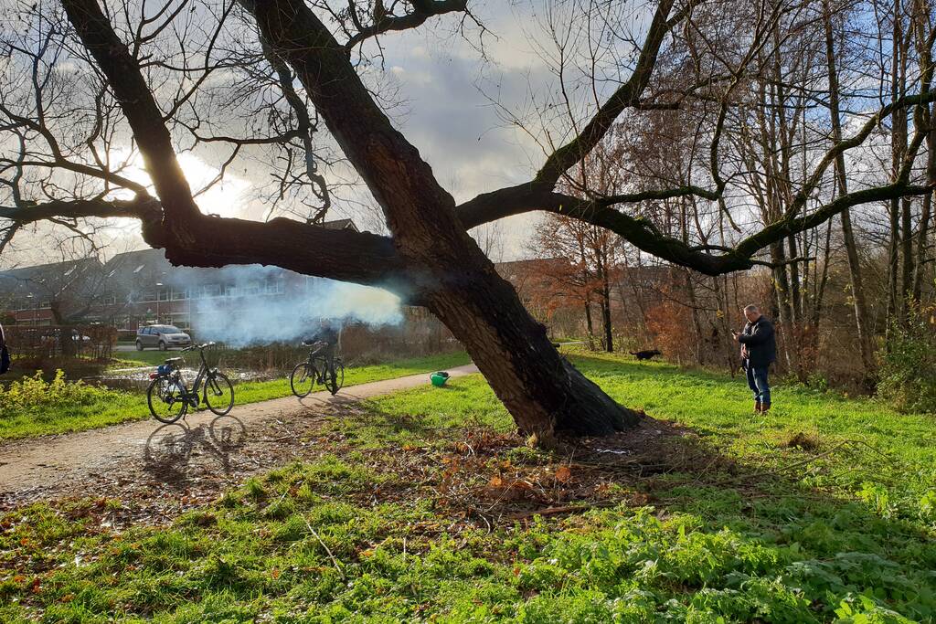 Klimboom in brand gestoken