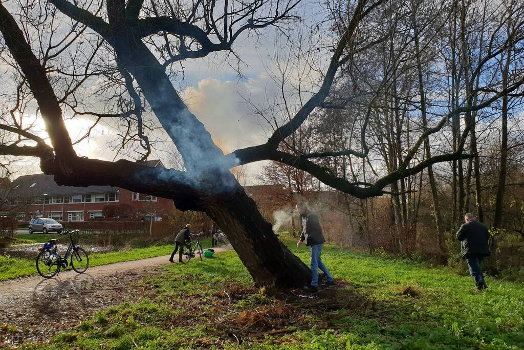 Klimboom in brand gestoken