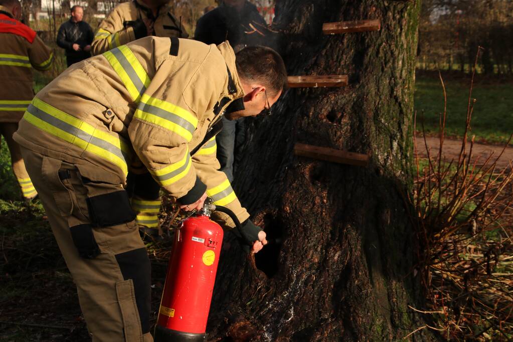Klimboom in brand gestoken