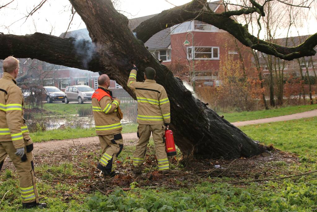 Klimboom in brand gestoken