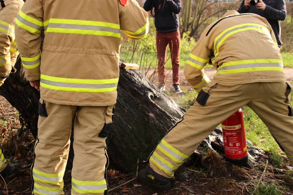 Klimboom in brand gestoken