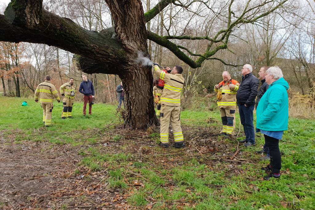 Klimboom in brand gestoken