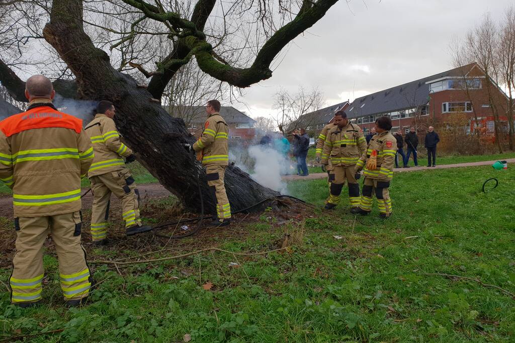 Klimboom in brand gestoken